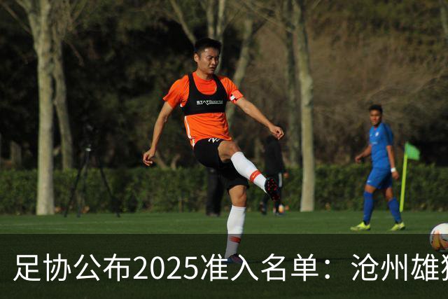 足协公布2025准入名单：沧州雄狮、广州队无缘